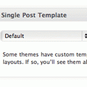 Create Custom Single Post Templates for Specific Posts or Sections in WordPress Create Custom Single Post Templates for Specific Posts or Sections in WordPress