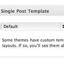 Create Custom Single Post Templates For Specific Posts Or Sections In Wordpress Single Post Template