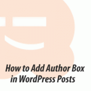 How to Add an Author Info Box in WordPress Posts How to Add an Author Info Box in WordPress Posts
