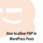 How to Allow PHP in WordPress Posts