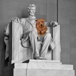 Lilly with Lincoln