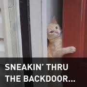 Backdoor