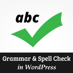 Essay checker grammar
