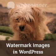 Watermark images in WordPress