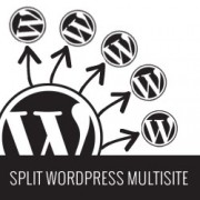 Split WordPress Multisites