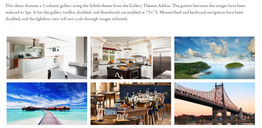 envira gallery demo3