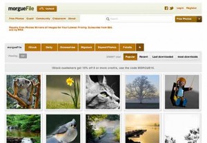 morgueFile morgueFile