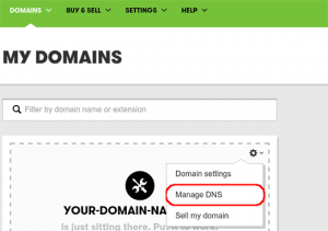 Launching DNS manager in GoDaddy Launching DNS manager in GoDaddy