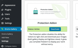 Image theft protection addon in Envira Gallery plugin for WordPress Image theft protection addon in Envira Gallery plugin for WordPress