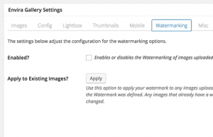 Watermarking addon in Envira Gallery plugin for WordPress Watermarking addon in Envira Gallery plugin for WordPress