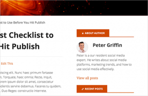 Author info widget in WordPress Author info widget in WordPress