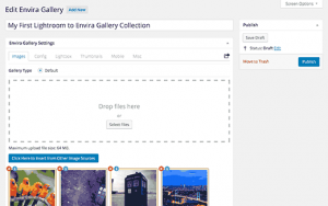 Publish Envira Gallery to add it into posts or pages Publish Envira Gallery to add it into posts or pages