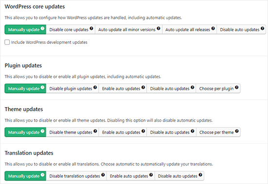 Managing auto updates in WordPress