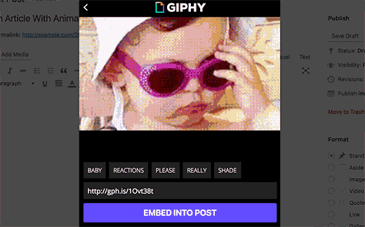 Embed Giphy Embed Giphy