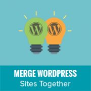 How to Merge Two WordPress Sites Together Without Losing SEO