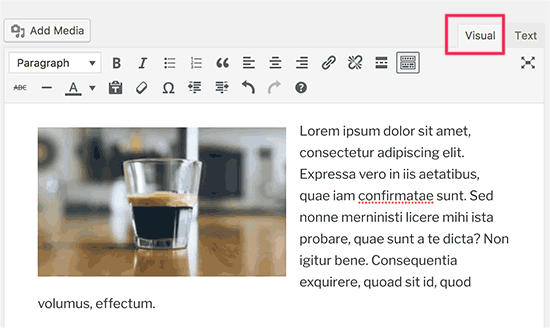 Visual editor in WordPress