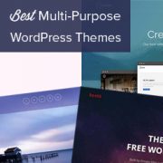 31 Best WordPress Multi-purpose Themes