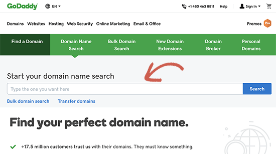 Search domain name on GoDaddy