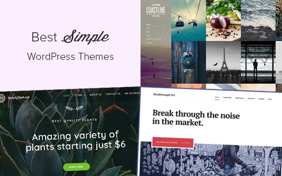 Best Simple WordPress Themes