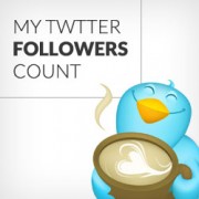 Twitter Followers Count