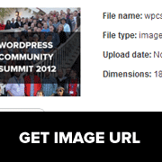 How To Get The URL Of Images You Upload In WordPress