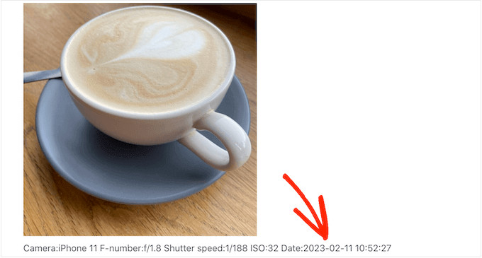 An example of EXIF tags on a WordPress website or blog