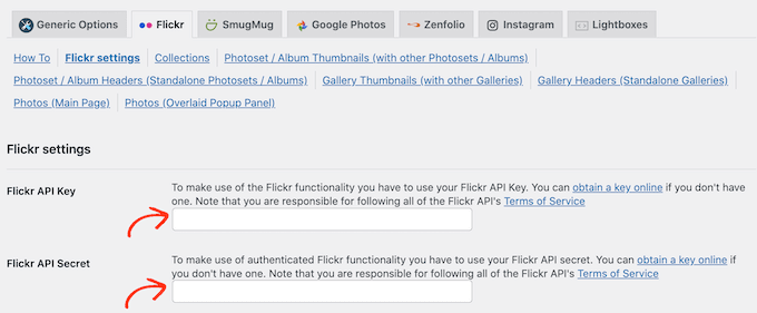 Добавление ключа и секрета API Flickr