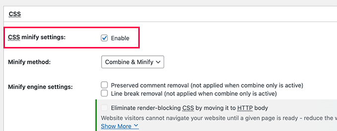 Enable CSS minify