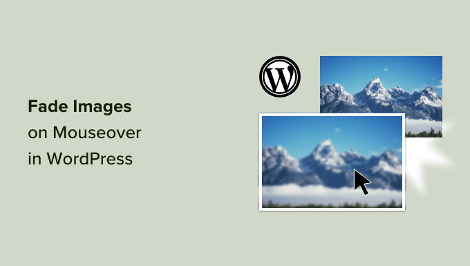 Как исчезать изображения при наведении курсора в WordPress
