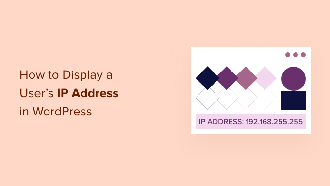How to display a user's IP address in WordPress