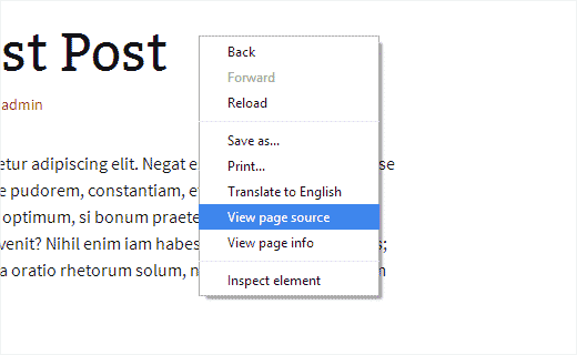 Opening page source view in Google Chrome