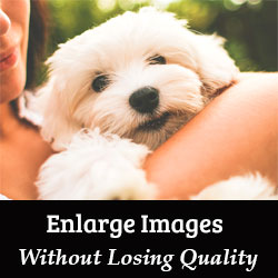 Featured image of post Resize Image Without Losing Quality Canva - So, you have to resize the images that you have inserted on your website to attract the user towards your website.