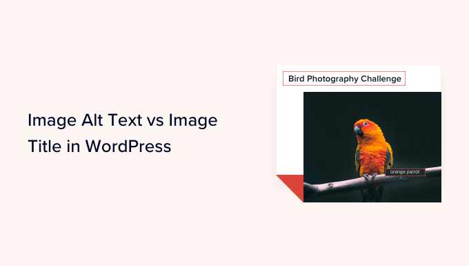 متن جایگزین تصویر در مقابل عنوان تصویر در وردپرس - چه تفاوتی دارد؟