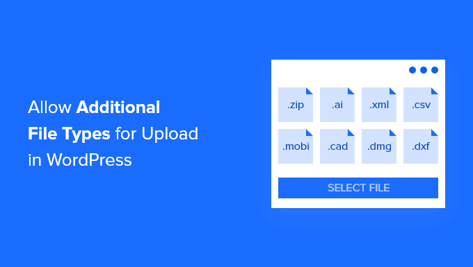 How to Add Additional File Types to Be Uploaded in WordPress