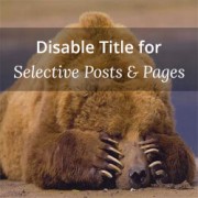 How to Disable Title for Selective Posts in WordPress