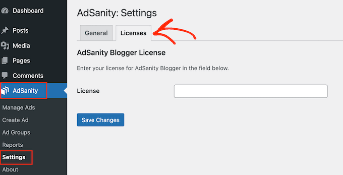The AdSanity WordPress plugin settings