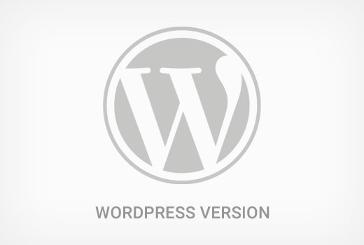 Finding WordPress version number