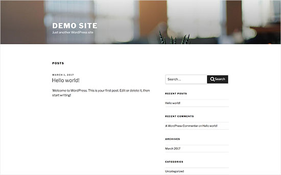 Default WordPress theme