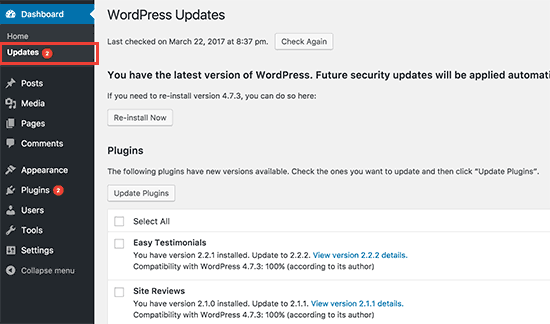 How do I update my WordPress plugins?