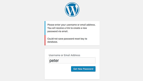 How To Fix Password Reset Key Error In WordPress