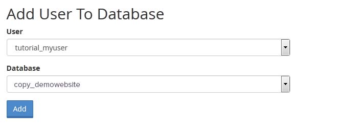 Add user to database