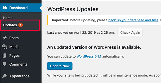 What is a core update WordPress?