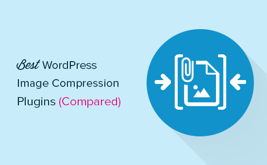 Take Five Compression Size Chart