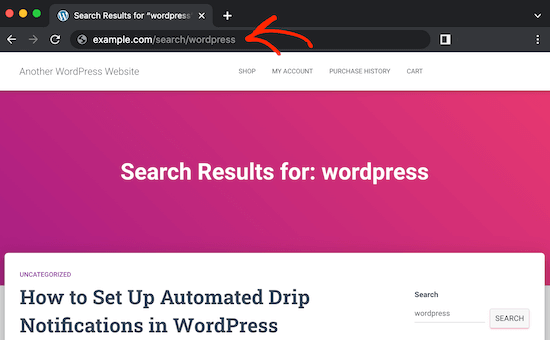 URL-адрес пользовательского поискового сниппета WordPress