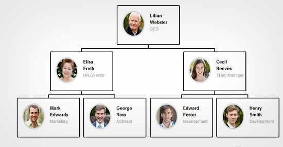 Wordpress Organization Chart