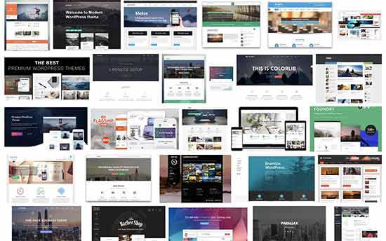 WordPress themes 2019