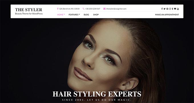23 Best WordPress Themes for Fashion Blogs (2023)