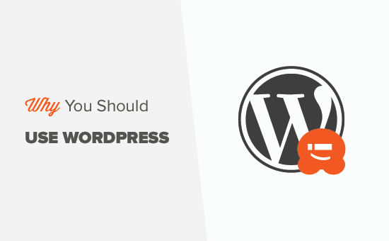 6 Important Reasons Why You Should Use Wordpress For Your Website