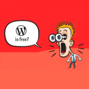 Why is WordPress Free? What are the Costs? What is the Catch?