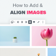 How to Add and Align Images in WordPress Block Editor (Gutenberg) How to Add and Align Images in WordPress Block Editor (Gutenberg)